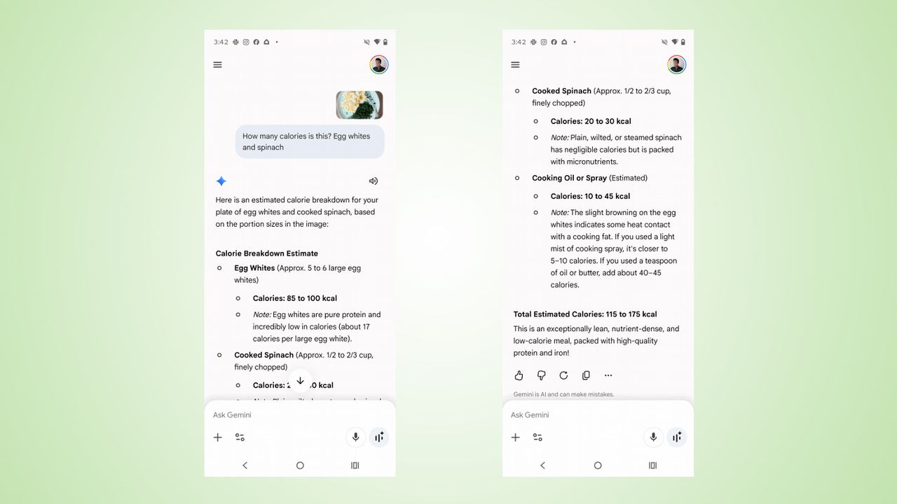 Google Gemini calorie tracker screenshots.