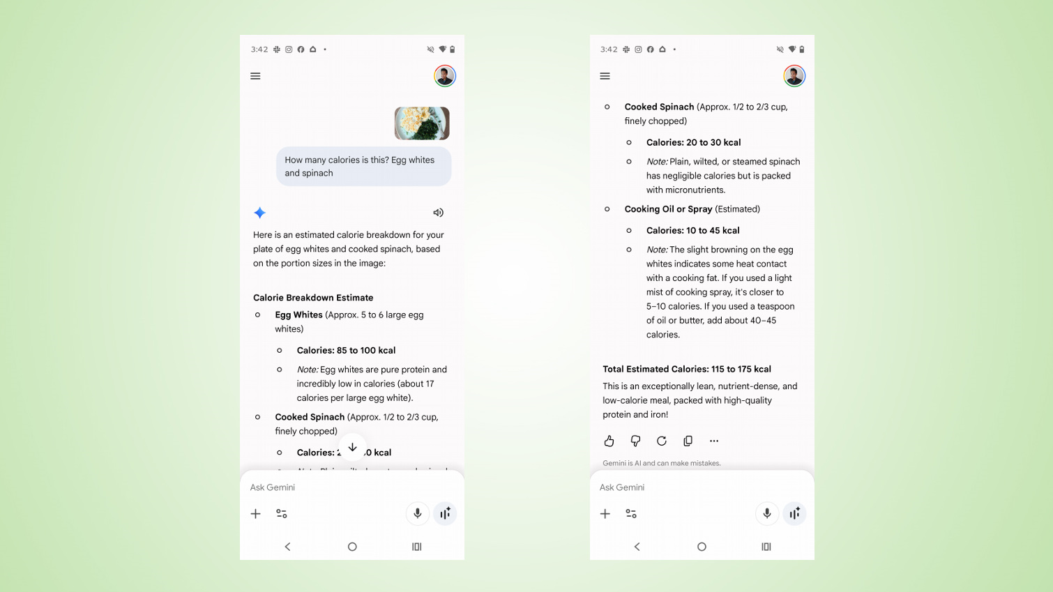 Google Gemini calorie tracker screenshots.