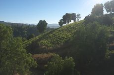 Chile - South America