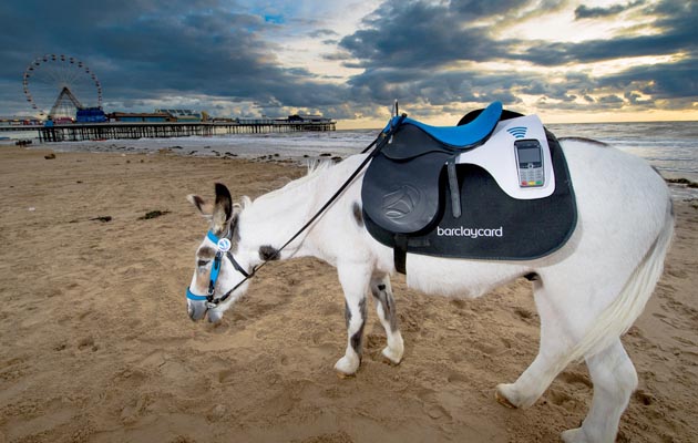 Barclay Card Pilot Contactless Donkeys on Blackpool Beach