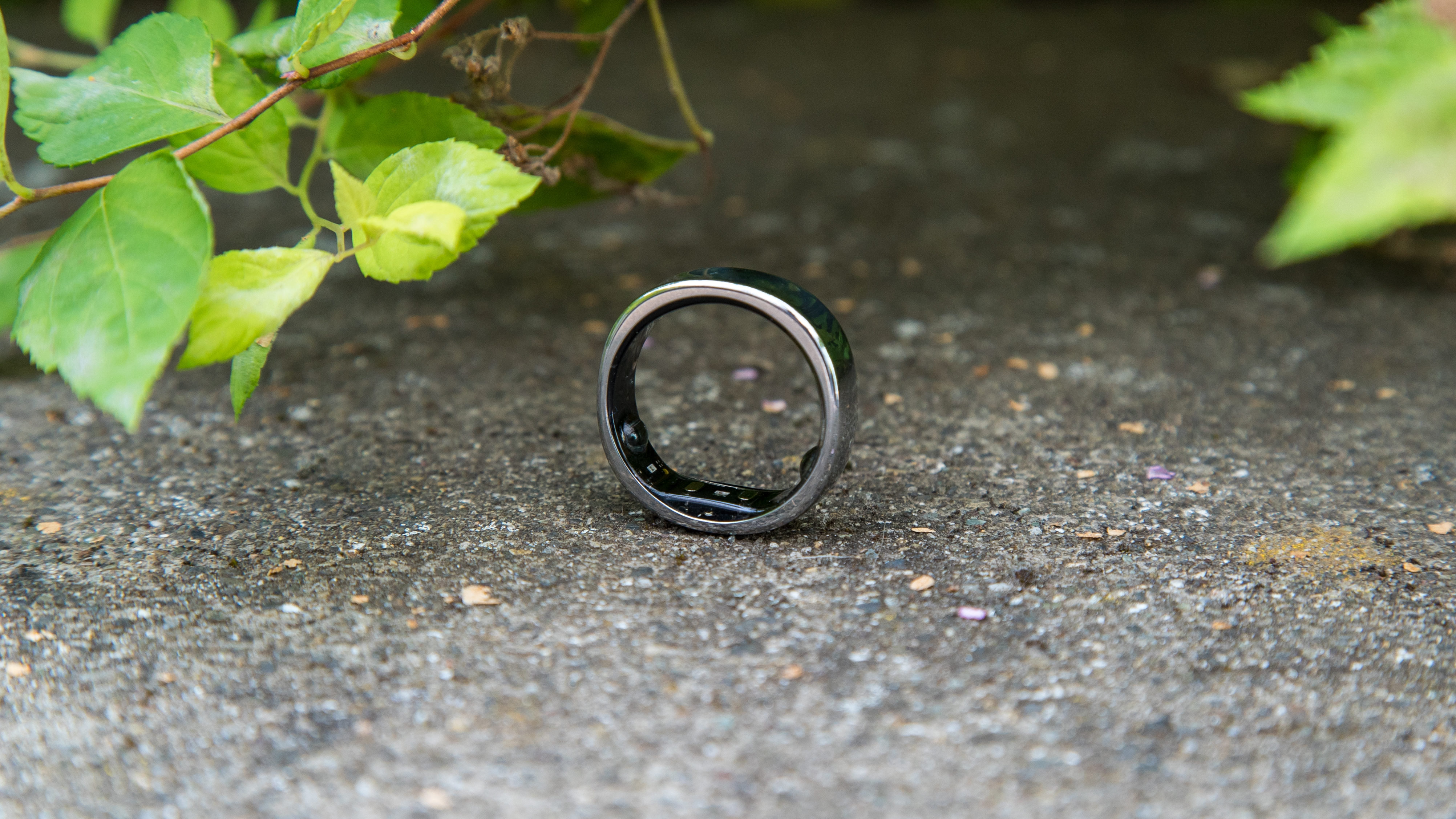 The RingConn Gen 2 Smart Ring on a surface next to a bush