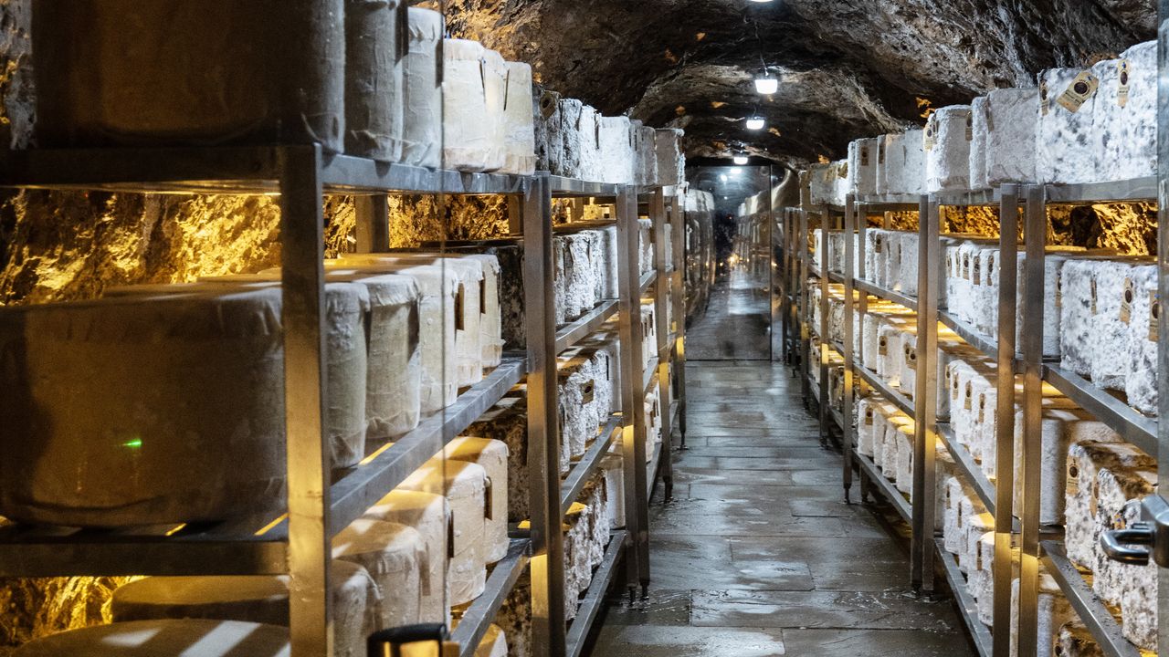 Racks of cheese in an underground cavern