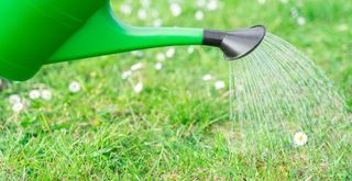 a green watering can used to water the lawn with rain water to support a guide on how long you should water your lawn in summer