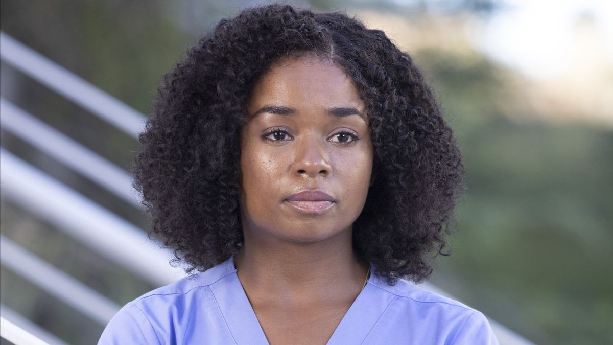5 New Grey's Anatomy Cast Members In Season 19 And Where You've Seen