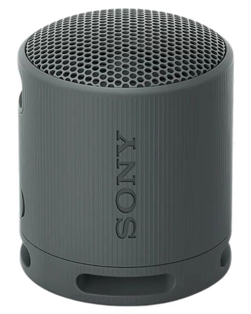 SRS-XB100 &mdash; black