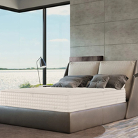 Save $1,100 on all Plush Beds Mattresses