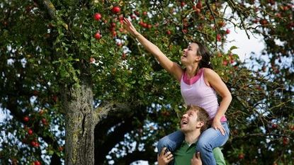 Apple picking