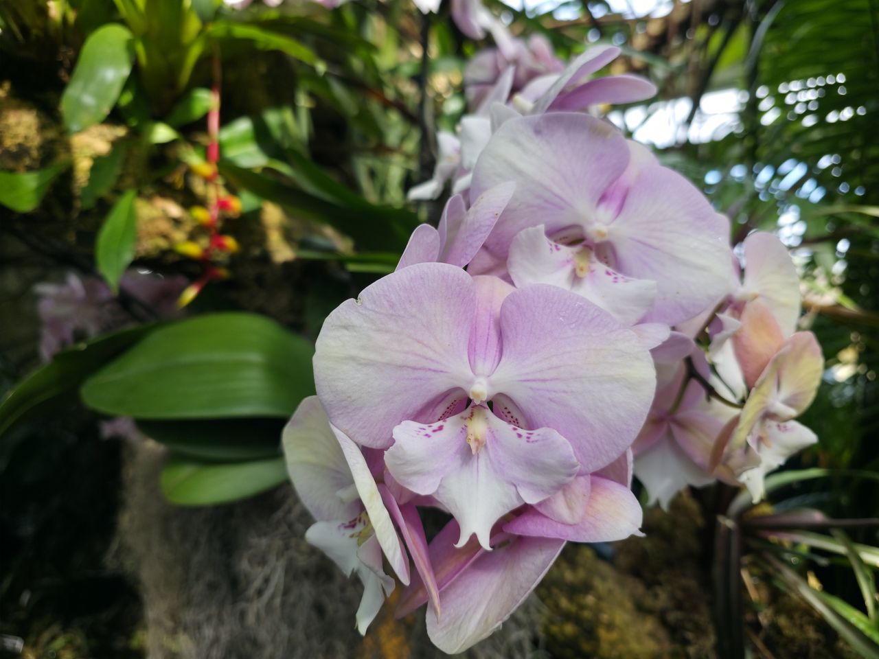 Samsung Galaxy S25 Ultra camera samples