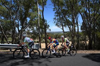 TANUNDA AUSTRALIA JANUARY 22 LR Fergus Browning of Australia and ARA Australian Cycling Team Green Mountain Jersey Patrick Konrad of Austria and Team Lidl Trek and Georg Zimmermann of Germany and Team Intermarche Wanty compete in the breakaway during the 25th Santos Tour Down Under 2025 Stage 2 a 1288km stage from Tanunda to Tanunda 342m UCIWT on January 22 2025 in Tanunda Australia Photo by Dario BelingheriGetty Images