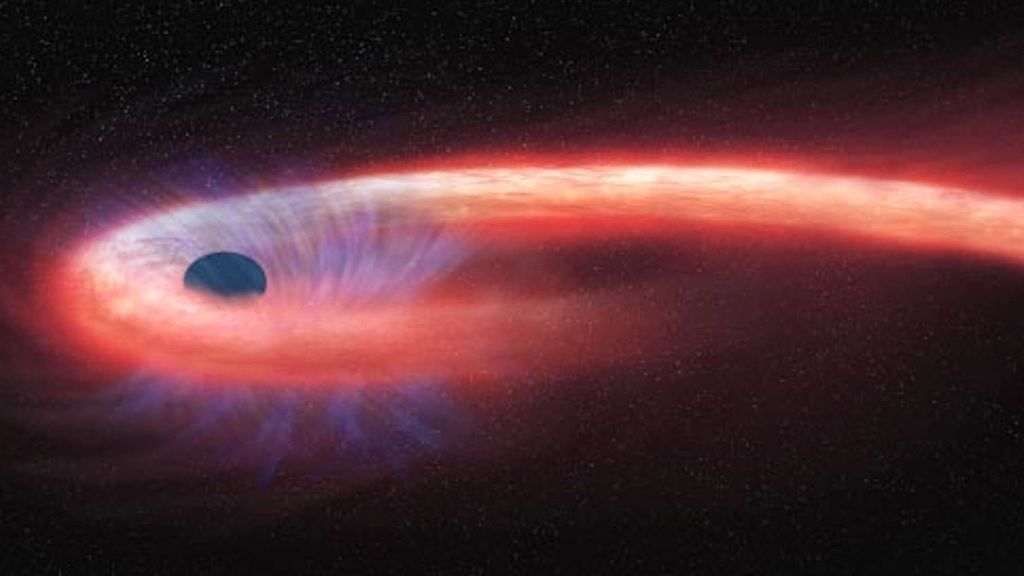 Hapless star 'spaghettified' by black hole. And astronomers capture the gory show in a first.