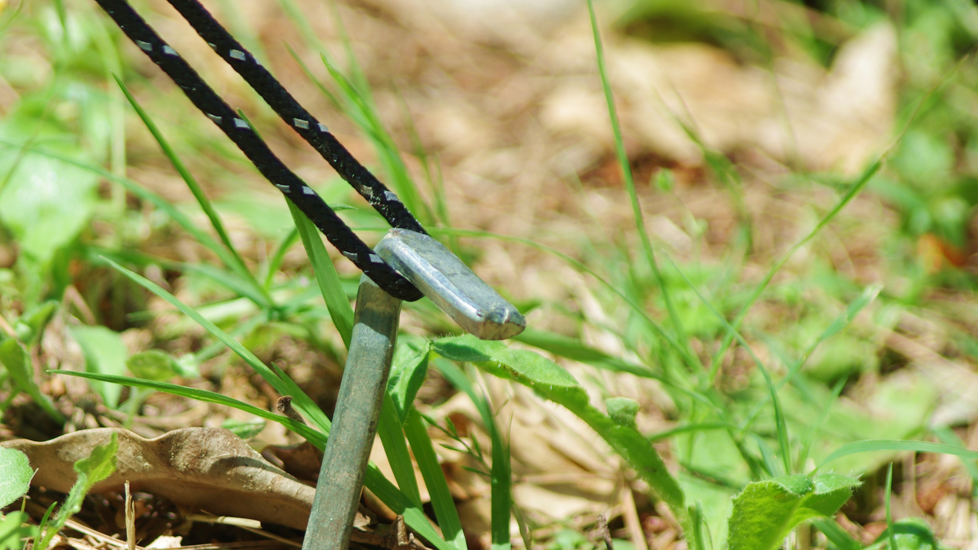 Close up of a tent stake in the ground