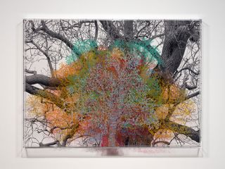 Art by Charles Gaines, Numbers and Trees: London, Series 1, Tree #6, Fetter Lane, 2020 at Hauser & Wirth London
