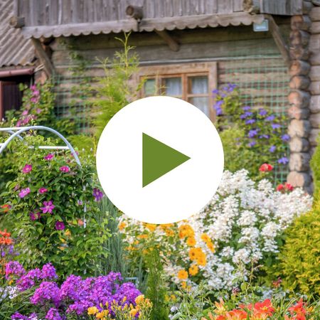 Colorful Cottage Garden