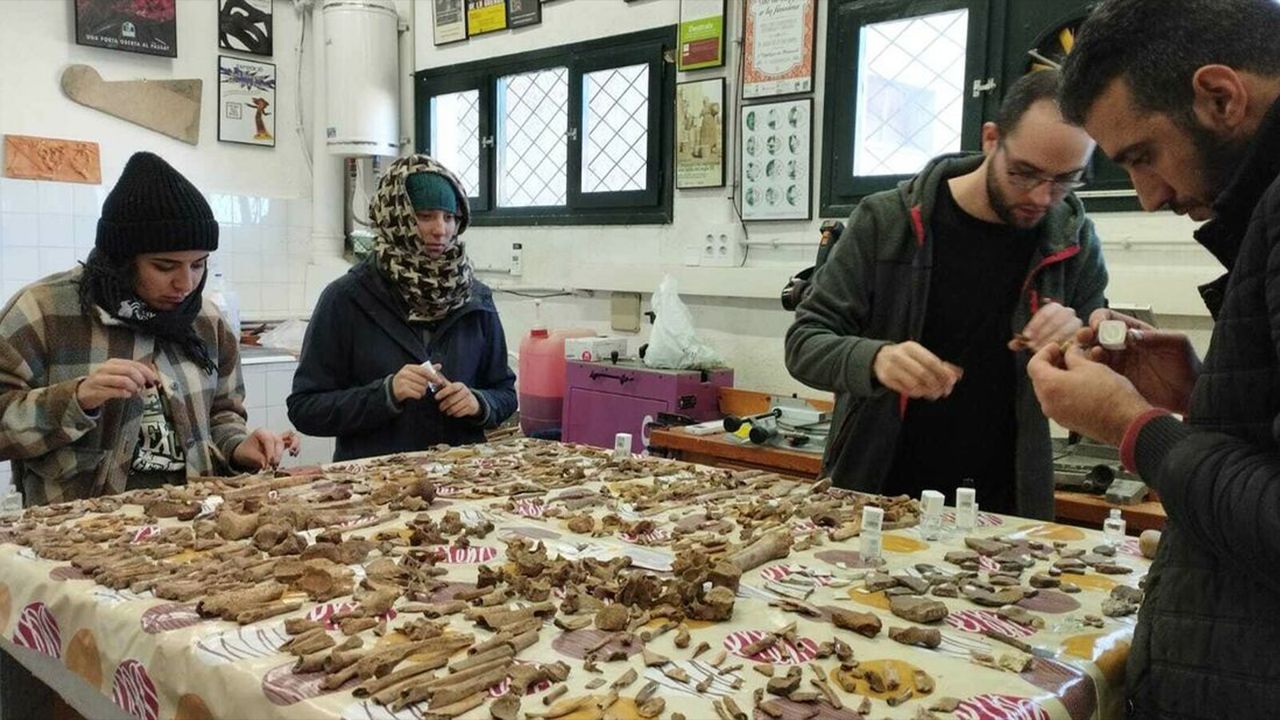 The laboratory work for the excavations in the cave was carried out at the Museu Terra (Terra Museum) in the nearby village of L'Espluga de Francol&iacute;.