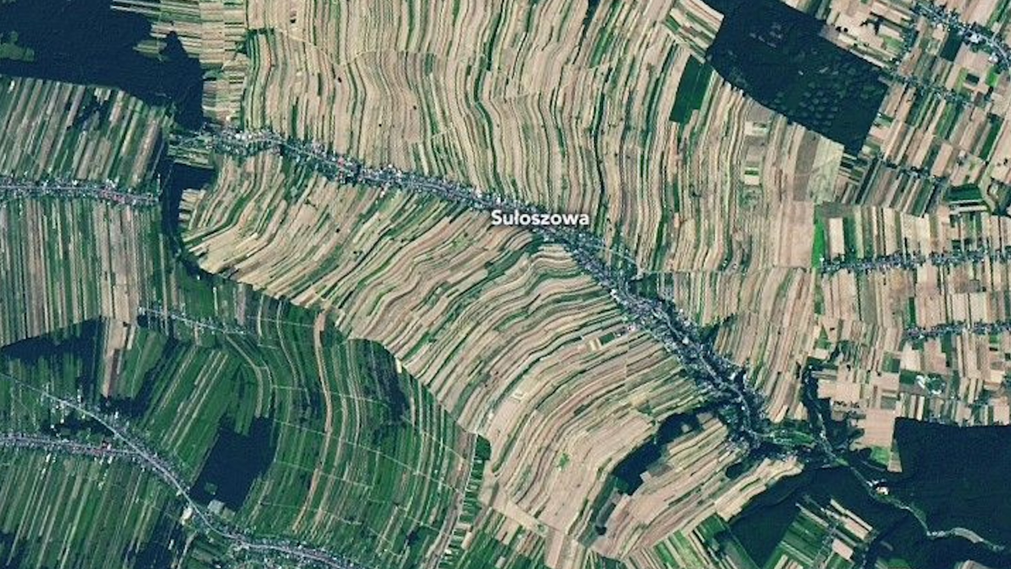 skinny farm fields as seen from space. they form thin green and brown stripes