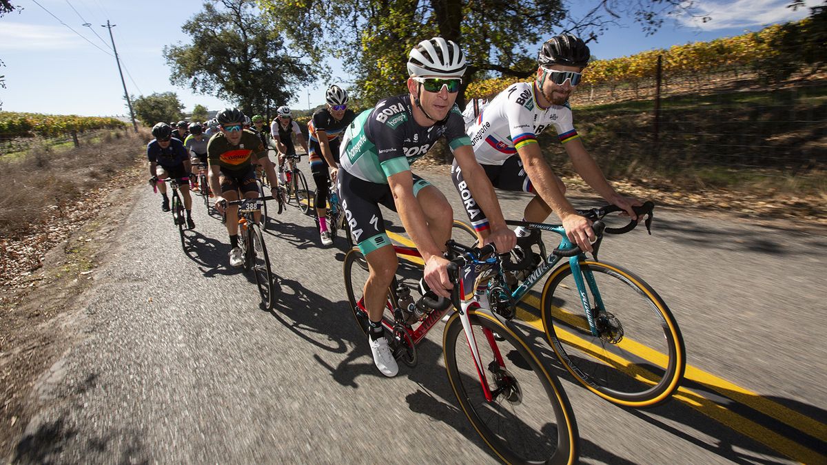 Maciej Bodnar and Peter Sagan lead the bunch