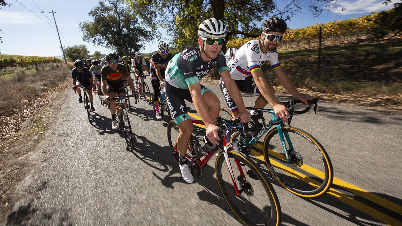 Maciej Bodnar and Peter Sagan lead the bunch