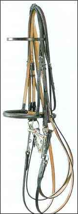 Jeffries_double_bridle.jpg