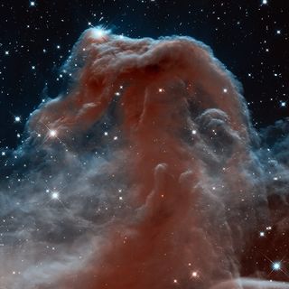 The Horsehead Nebula, which can be found in the constellation Orion, was discovered over a century ago. But few images of the nebula compare to this one taken by the Hubble telescope in 2013.