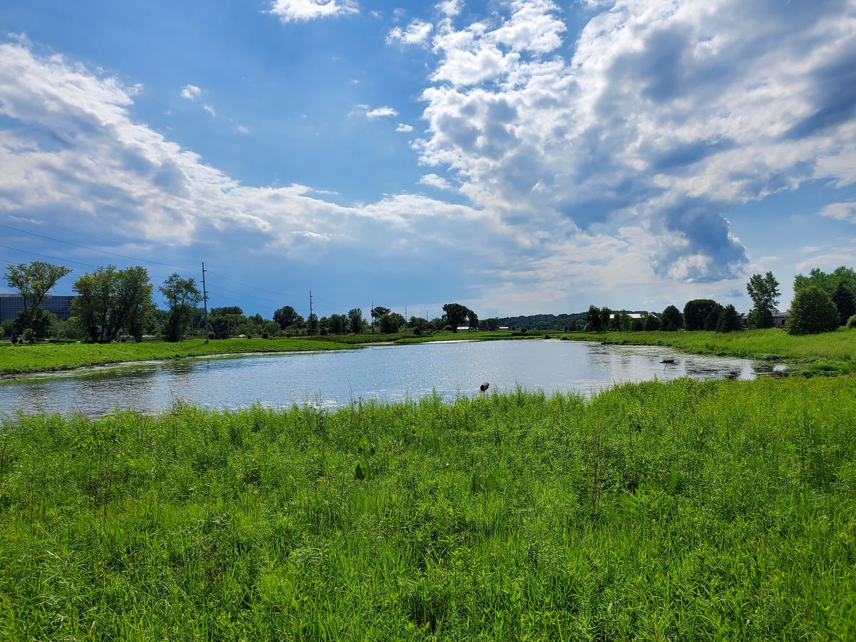 Samsung Galaxy Z Flip 5G camera samples
