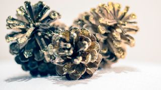 A picture of three glittery pine cones together