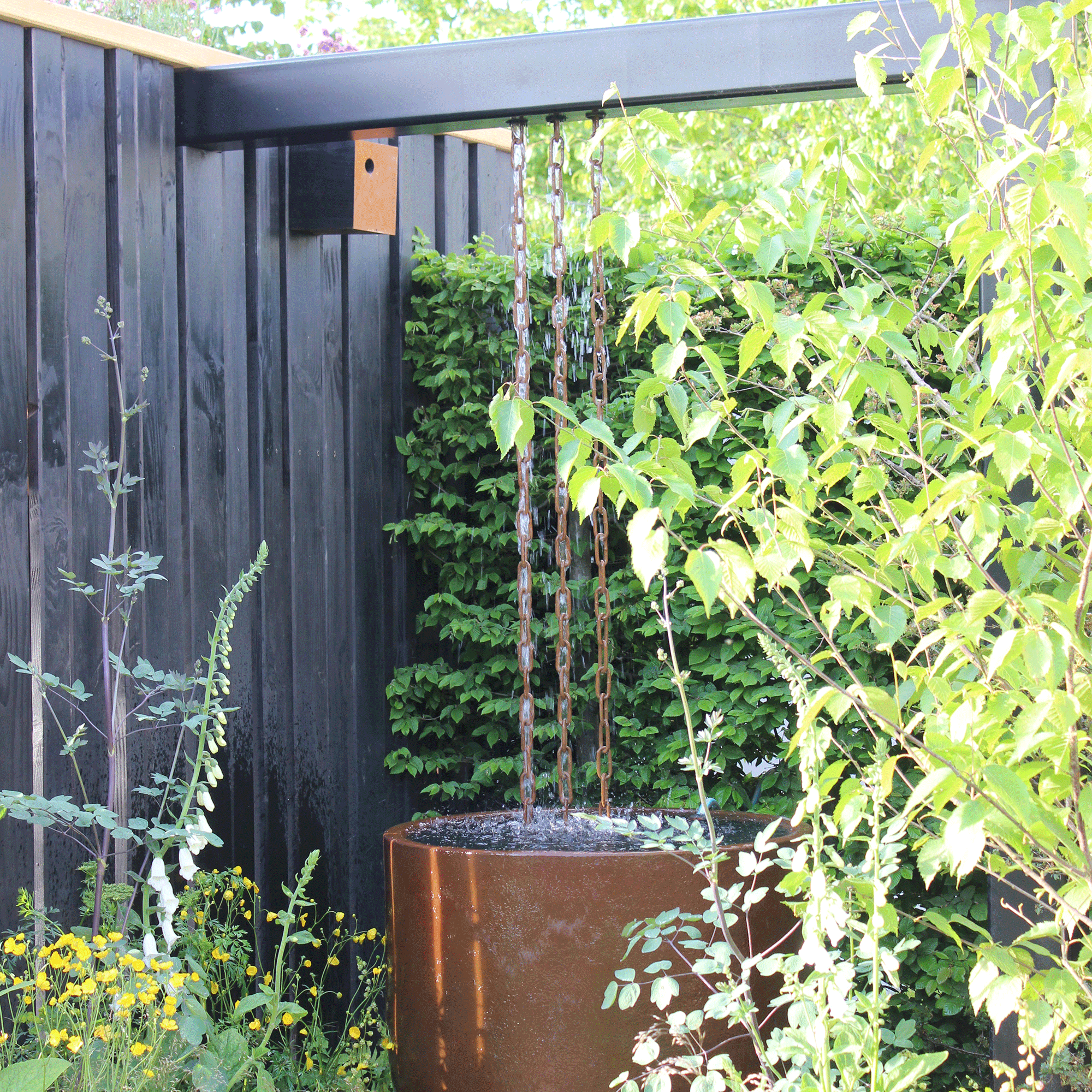 Chelsea garden with bird boxes built into wall