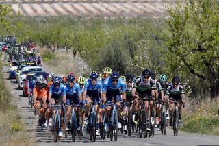 Cycling: Murcia Tour / Vuelta Murcia / Etapa 1 / Stage 1 /
BUNCH / PELOTON /
TORRES BARCELO, Albert (ESP) ELOSEGUI, IÃ±igo (ESP) OLIVEIRA, Nelson (POR) CARRETERO, Hector (ESP) /
Los AlcÃ¡zares - Caravaca De la Cruz (177,6 Km) 14-02-2020/
Cycling: Murcia Tour / Vuelta Murcia / Etapa 1 / Stage 1 /
Luis Angel Gomez
Â©PHOTOGOMEZSPORT2020