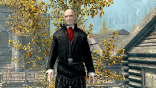 Agent 47 surveys the world of Skyrim.