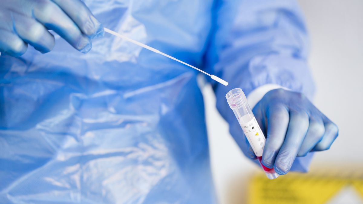 How quickly can you catch Covid again? The Week