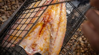 Ryan Cole's BBQ Fish