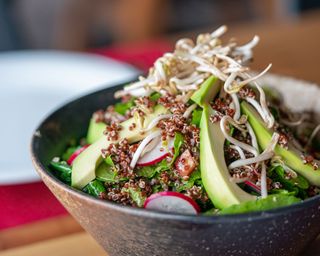 salad with bean sprouts, quinoa and avocado