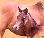 0E8AABFC-06FE-4F72-B586-58F964DF110E.jpg