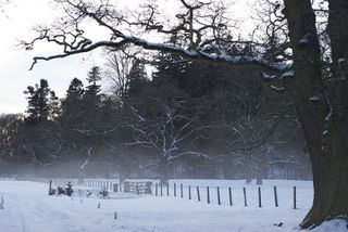 Glamis Castle