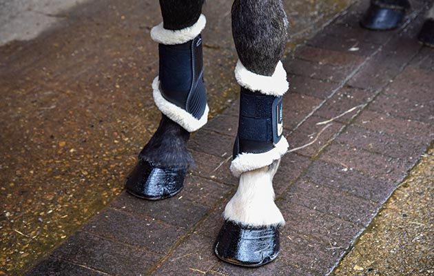 Veredus STS TRC Vento brushing boots review