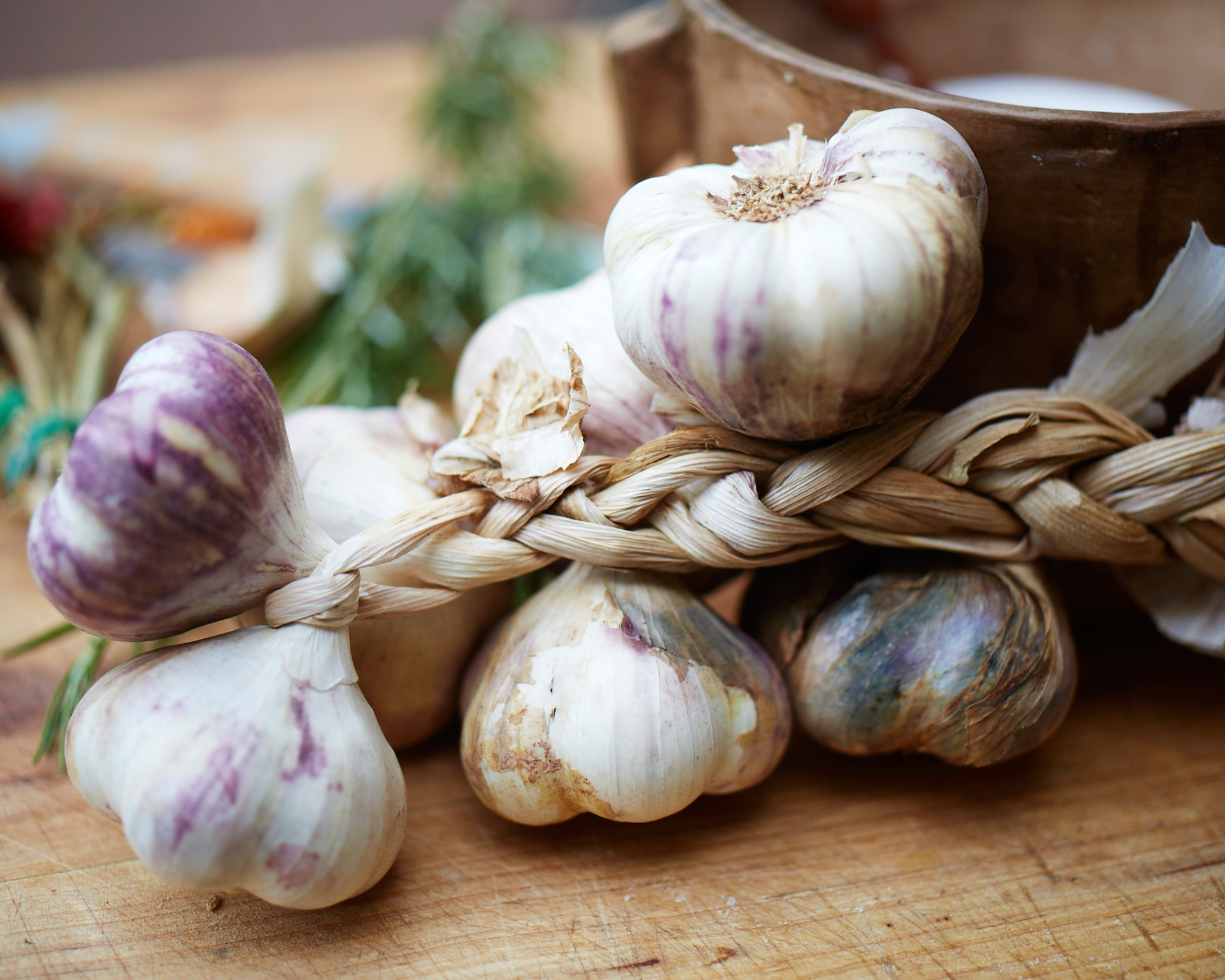 Fresh garlic plait