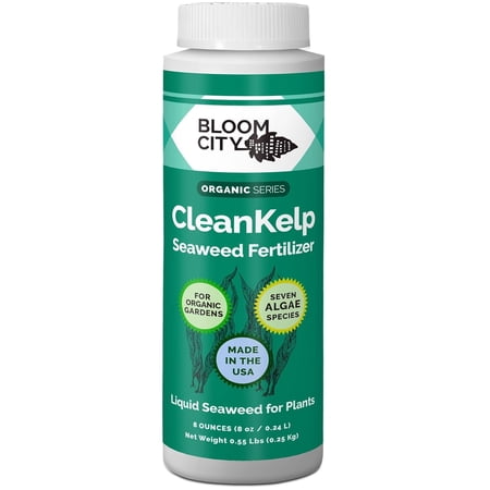 Organic Liquid Seaweed and Kelp Fertilizer Supplement by Bloom City, (8 Oz) Concentrated Makes 45 Gallons