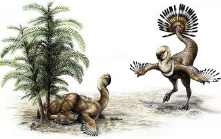 male oviraptor dinosaur shakes tail feathers to woo mate.