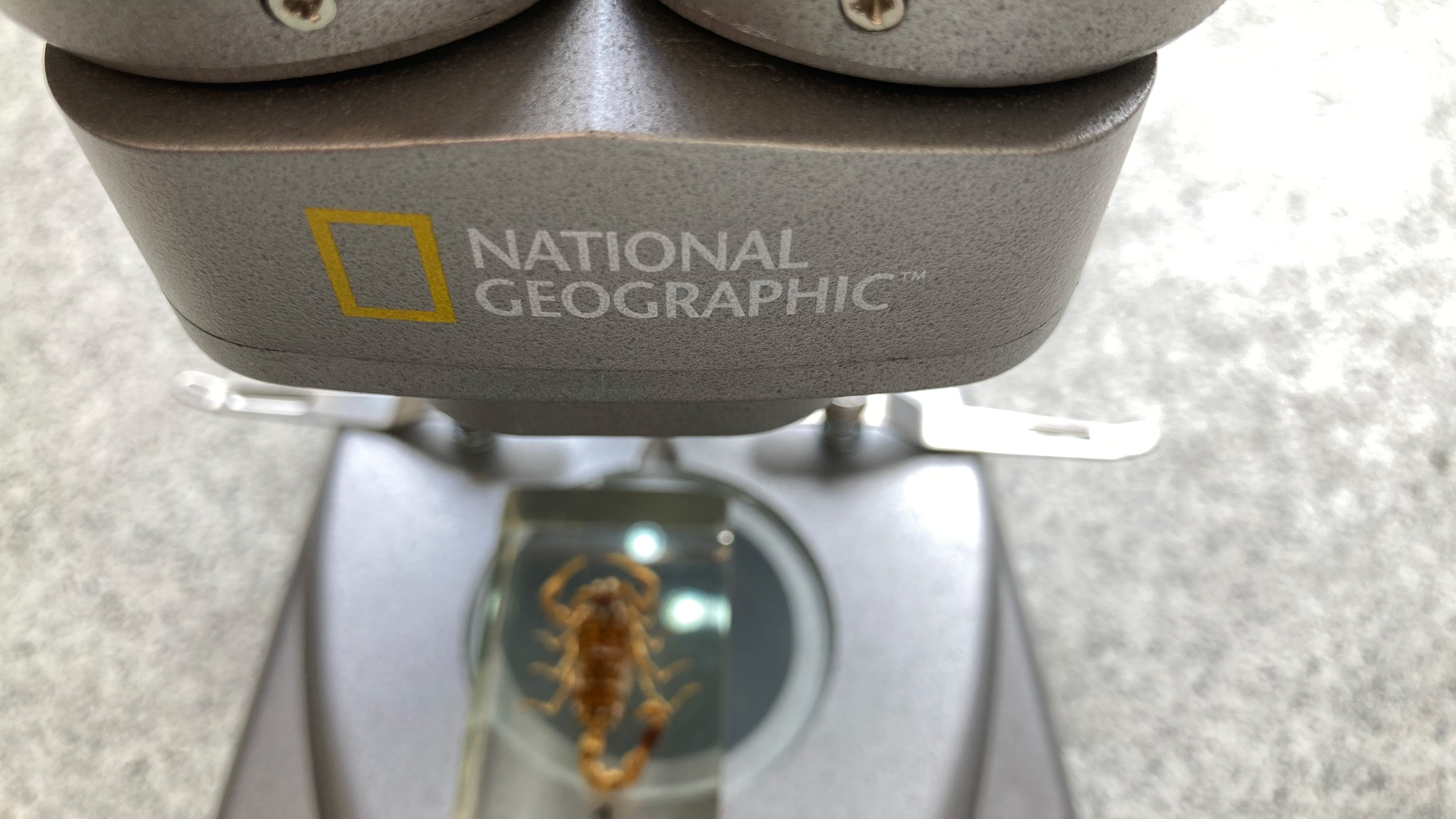 National Geographic Ultimate Dual Stereo Microscope inspecting a scorpion