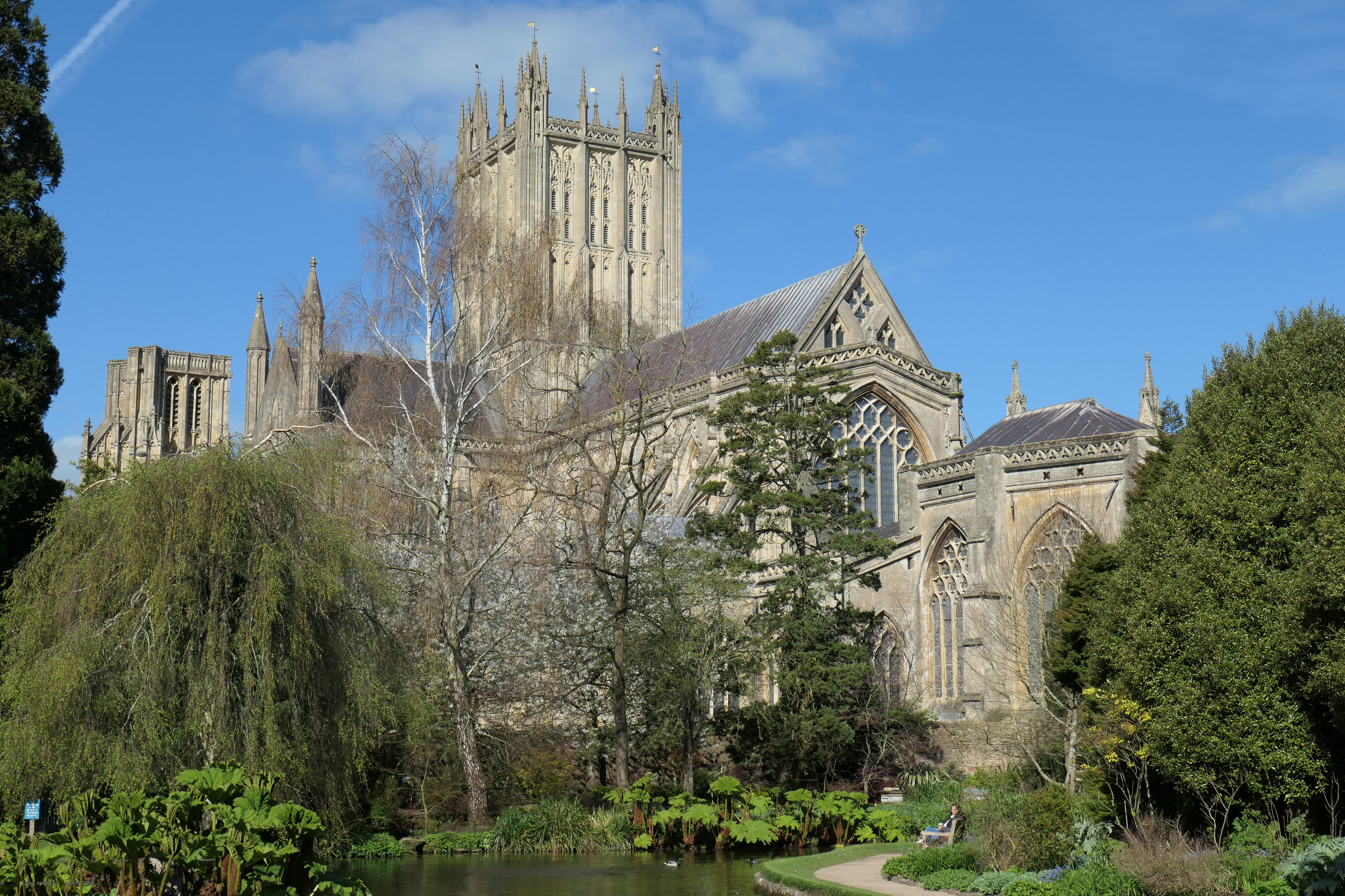 Panasonic Lumix ZS300 / TZ300 sample image