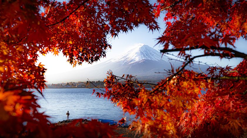 Photograph of Mount Fuji in Japan, framed by bright red autumn leaves, taken near Lake Kawaguchi by Riley Shickle from the United Kingdom and captured on a Sony A7 III digital camera, with a Sigma 24-70mm F2.8 DG DN Art lens