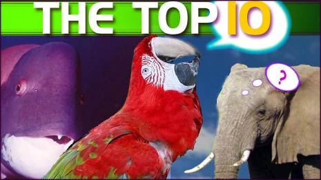 10 Amazing Things You Didn't Know about Animals Live Science