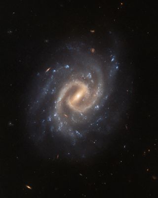 A broad spiral galaxy seen directly face-on. It has two bright spiral arms that extend from a bar, which shines from the very centre. Additional fainter arms branch off from these, studded with bright blue patches of star formation. Small, distant galaxies are dotted around it, on a dark background.