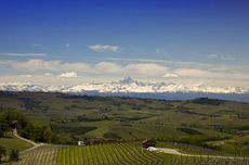 Moscato d Asti Azienda Agricola Paolo
