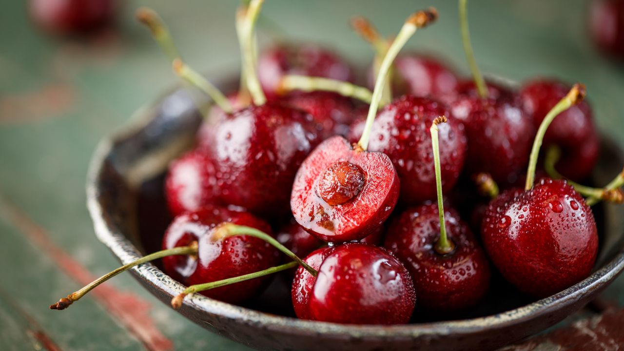 Cherry seed ready for propagation in a bowl of cherries