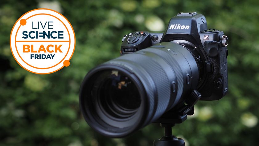 Nikon Z8 on a tripod with trees in the background