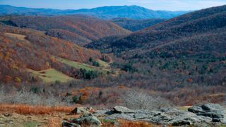 Appalachian Trail Virginia