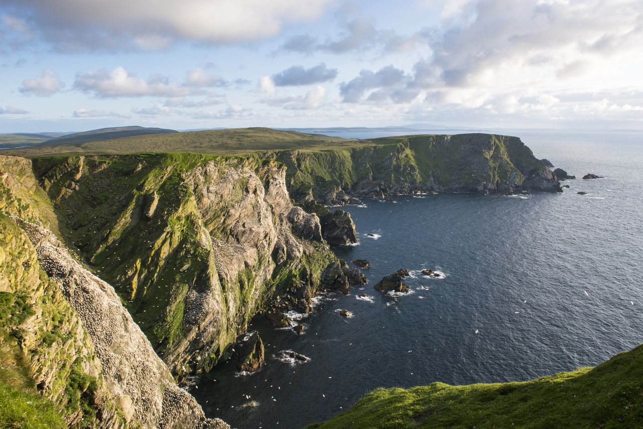 Wild coastline