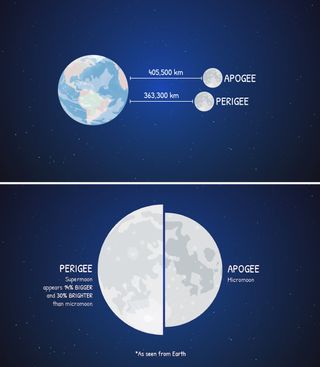 Due to the moon's elliptical orbit, its distance from Earth varies by about 12 percent, bringing it closer (perigee) and farther (apogee) during every 27.3 day circuit of Earth. The moon runs through its phases on a separate cycle of 29.5 days. From time to time, the two cycles synchronize for a few months, allowing the moon to be full while near perigee, causing it to be up to 30 percent brighter and 7 percent larger than average. The three full moons in December 2017 and January 2018 are all supermoons.