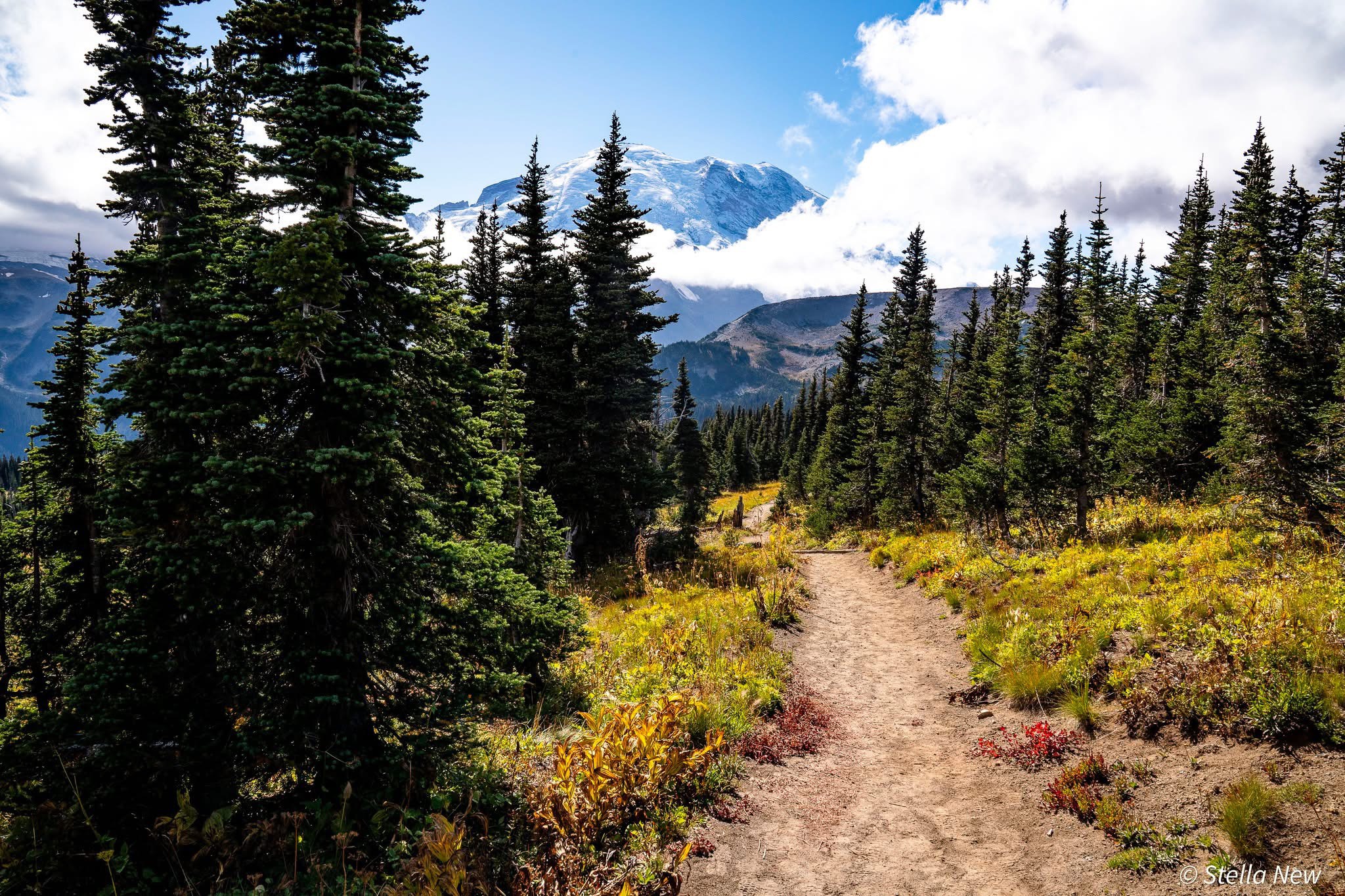 GuruShots - Nature March 2026