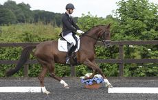 Dannie-Morgan-Headmore-Davina3.jpg